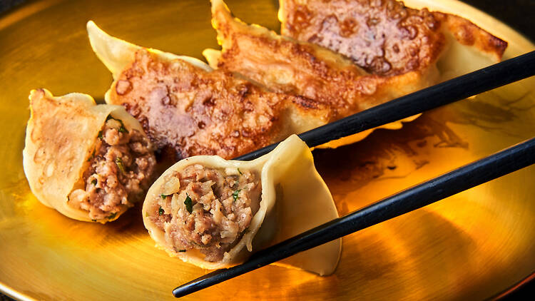 Craft Gyoza Fes 2026 Tokyo