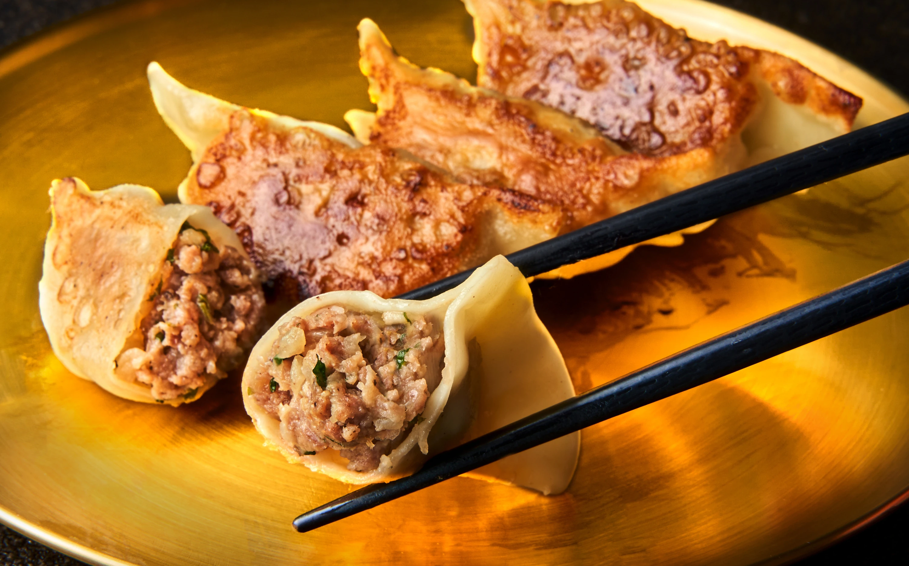 Craft Gyoza Fes 2026 Tokyo