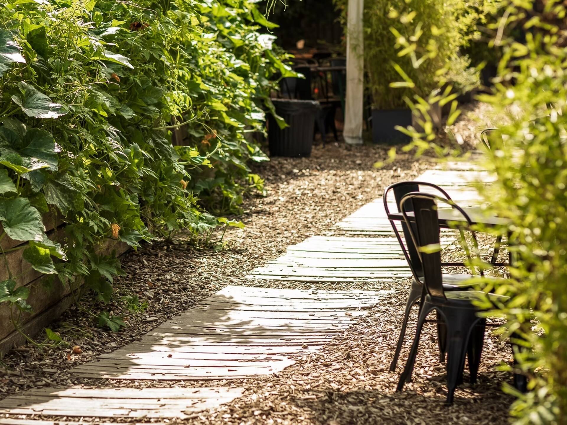 Cache Terasse Paris : les 20 meilleures terrasses cachées et au calme
