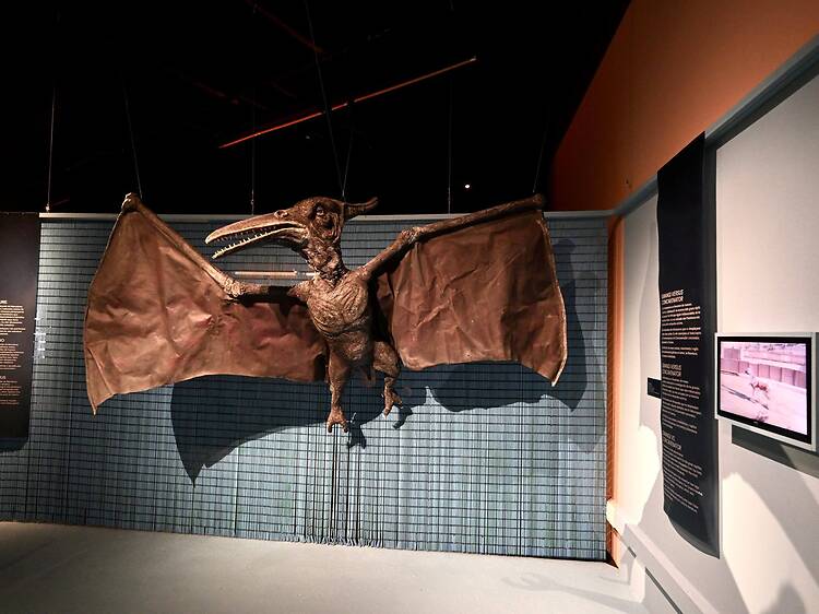 Museu de Ciències Naturals de Barcelona