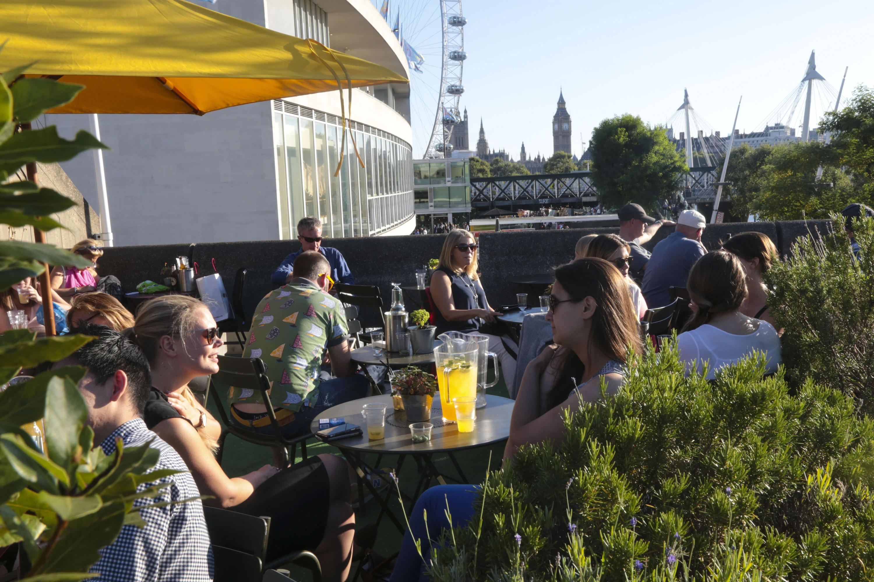 Queen Elizabeth Hall roof garden, London