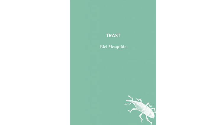 'Trast', de Biel Mesquida