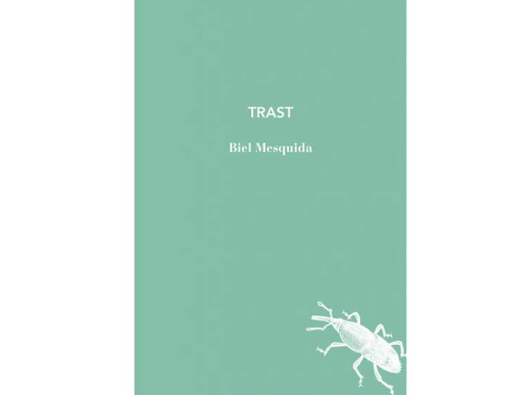 'Trast', de Biel Mesquida