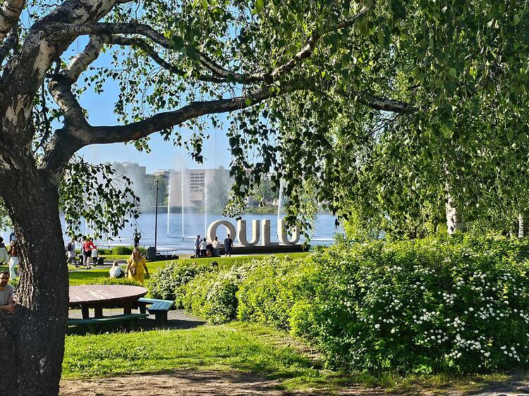 Lose yourself in the green beauty of Hupisaaret – Oulu’s own urban oasis Lose yourself in the green beauty of Hupisaaret – Oulu’s own urban oasis
