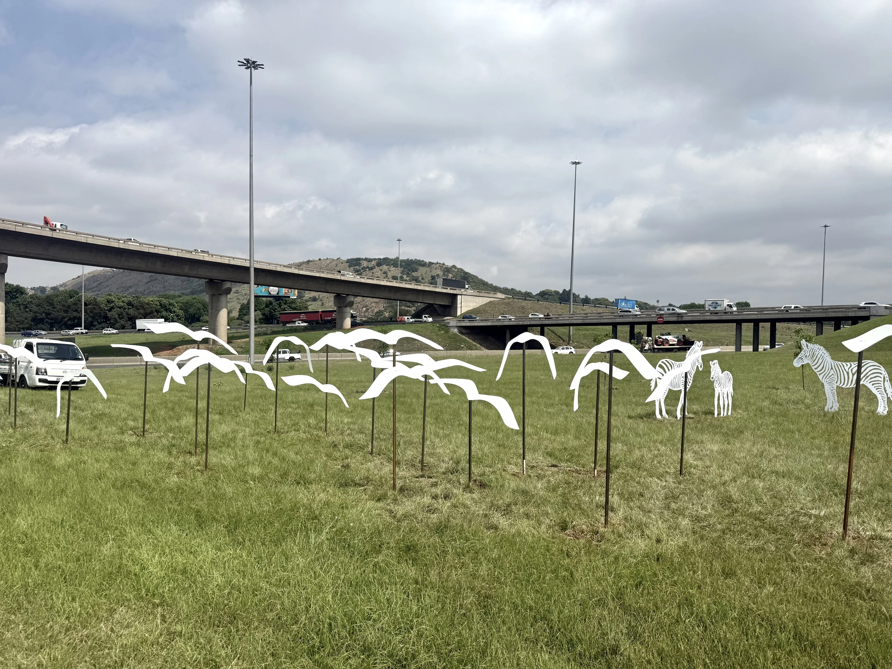 James Delaney's birds and zebra art work