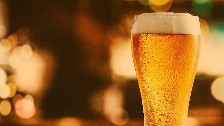 春のビールキャンペーン！1杯飲むと1杯無料に♪