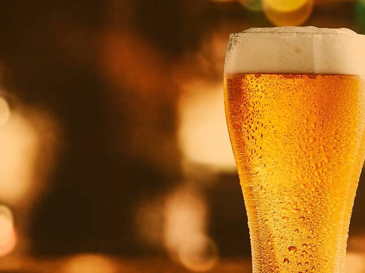 春のビールキャンペーン！1杯飲むと1杯無料に♪