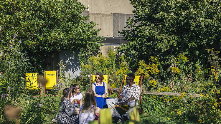 Queen Elizabeth Hall Roof Garden, London Queen Elizabeth Hall Roof Garden, London
