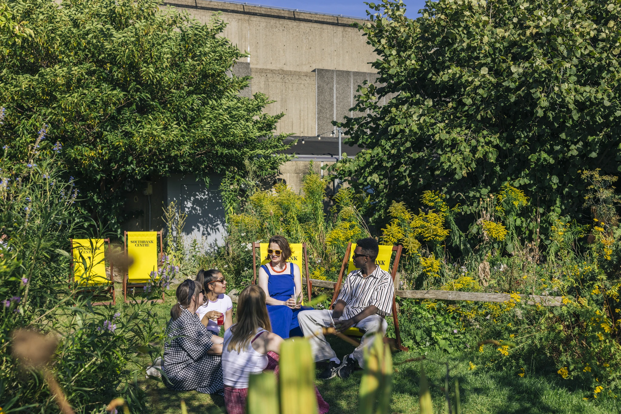 Queen Elizabeth Hall Roof Garden, London
