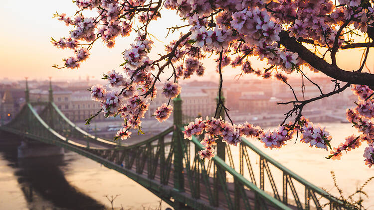Legjobb budapesti programok: mutatjuk, hová menj, mit csinálj ebben a hónapban