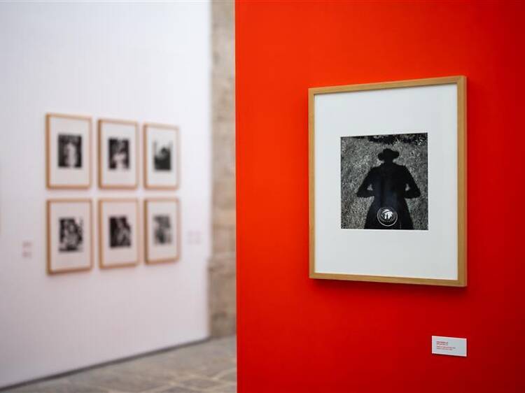 As exposições que não pode perder no Porto