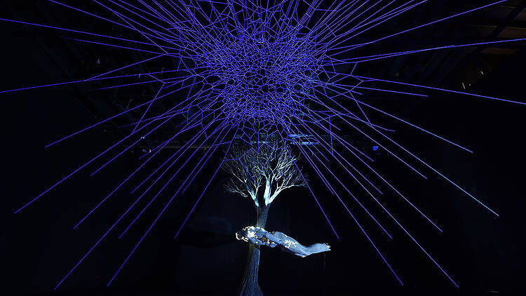 Deus sive Natura -生と死の境界領域-