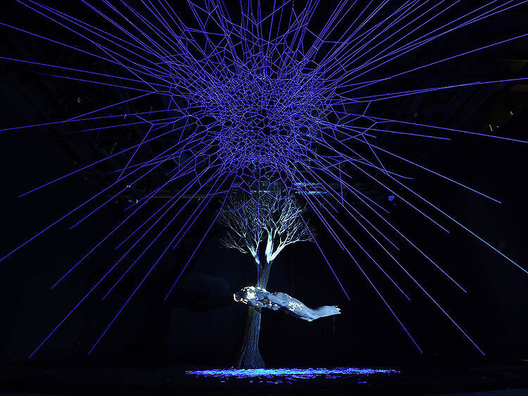 Deus sive Natura -生と死の境界領域-