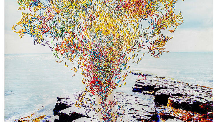 齋藤陽道、澄毅「The Insight of Being」