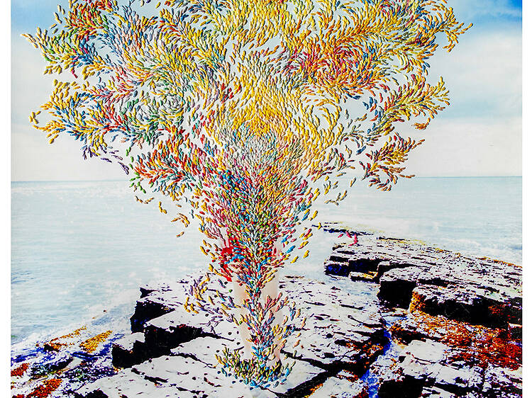 齋藤陽道、澄毅「The Insight of Being」