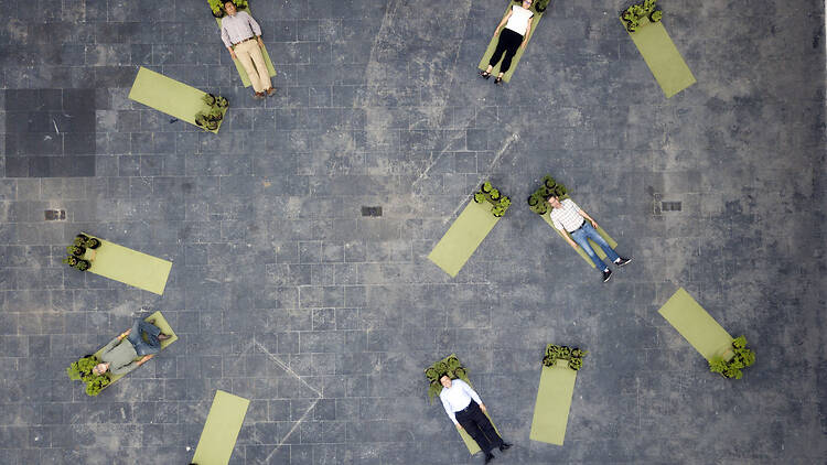 Salvajes, silvestres y espontáneas Salvajes, silvestres y espontáneas. MAZ