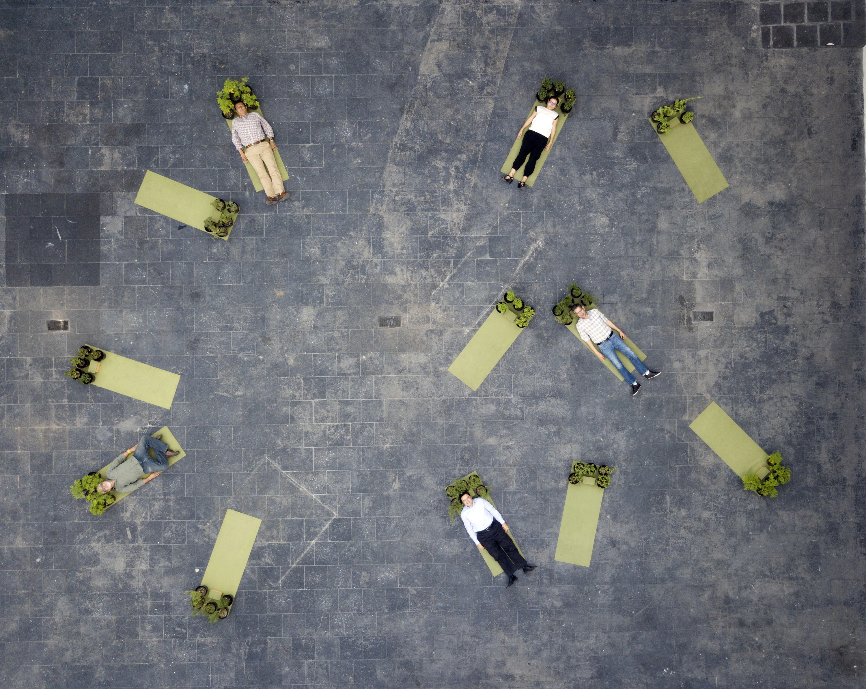 Salvajes, silvestres y espont&aacute;neas. MAZ