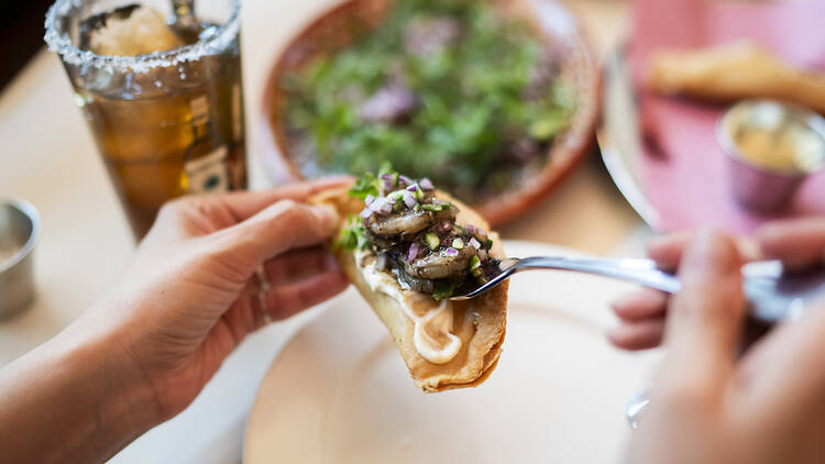 El maldito de Jalisco