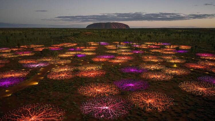 Field of Light aerial