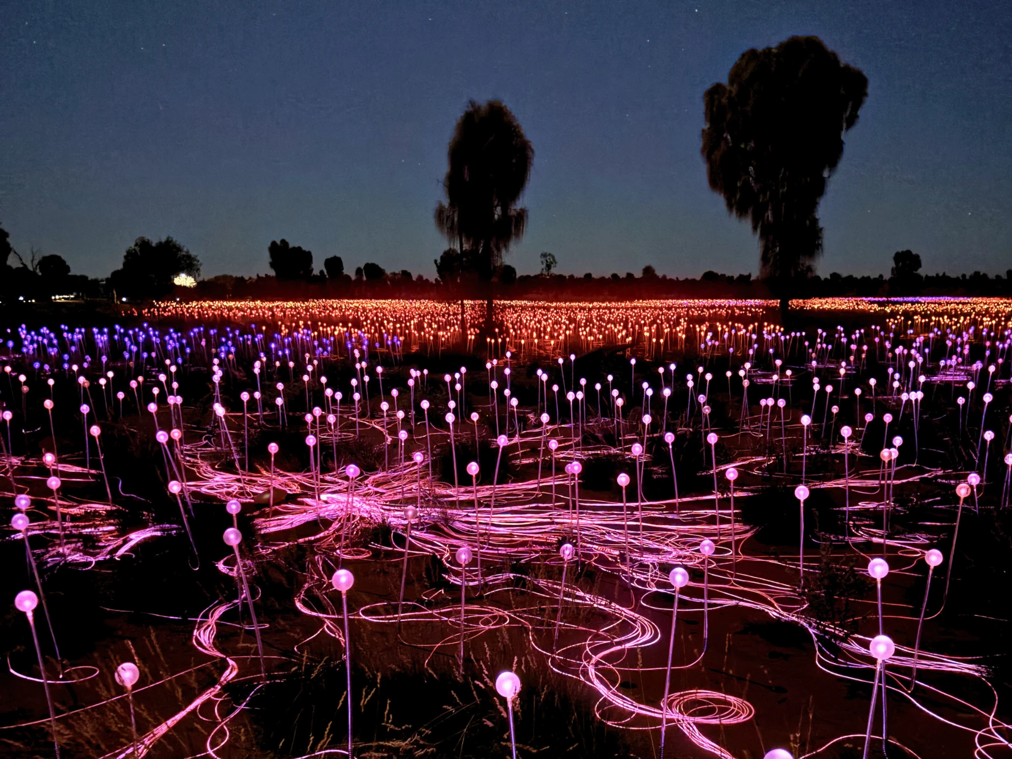 Field of Light
