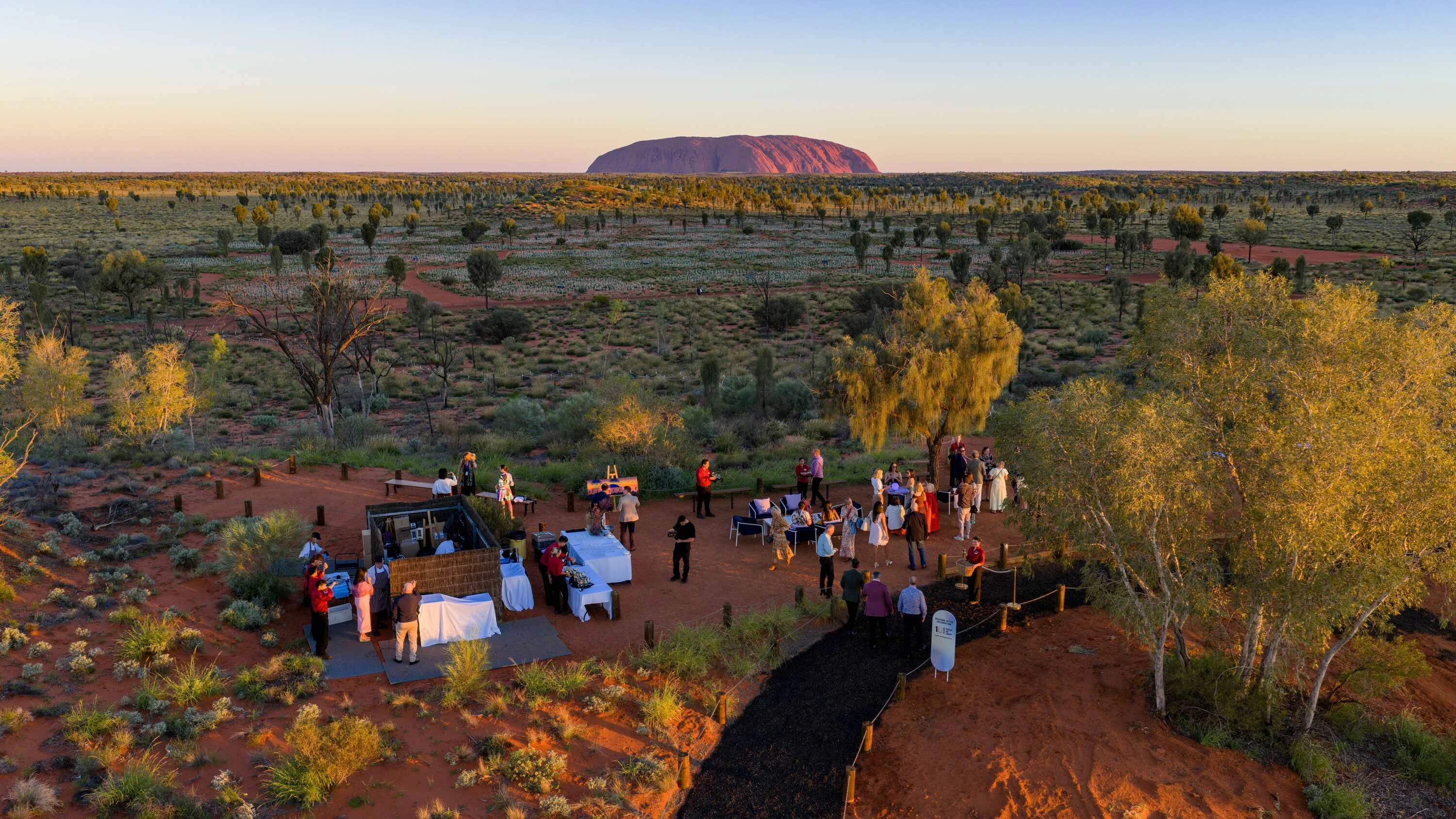 Field of Light experience