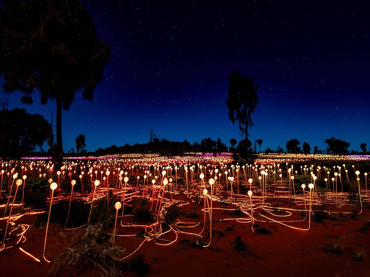 Field of Light, Uluṟu