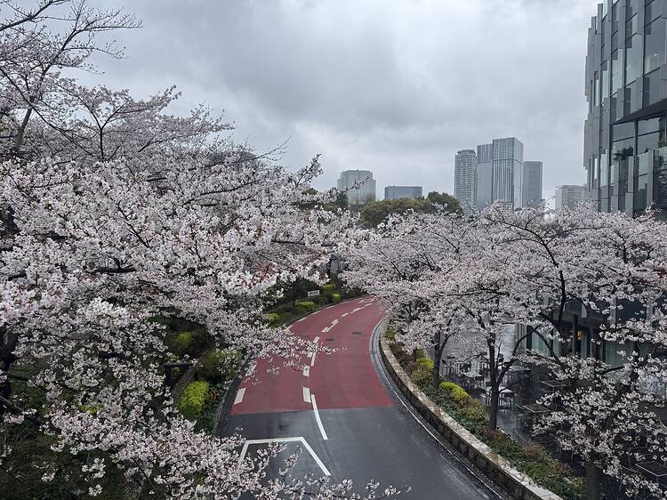 Midtown Garden (Tokyo Midtown), Roppongi Midtown Garden (Tokyo Midtown), Roppongi
