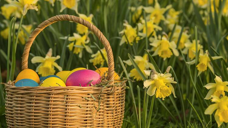 Join Prison Break’s Easter egg hunt