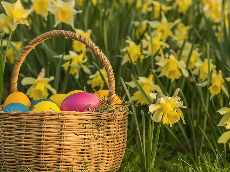 Join Prison Break’s Easter egg hunt