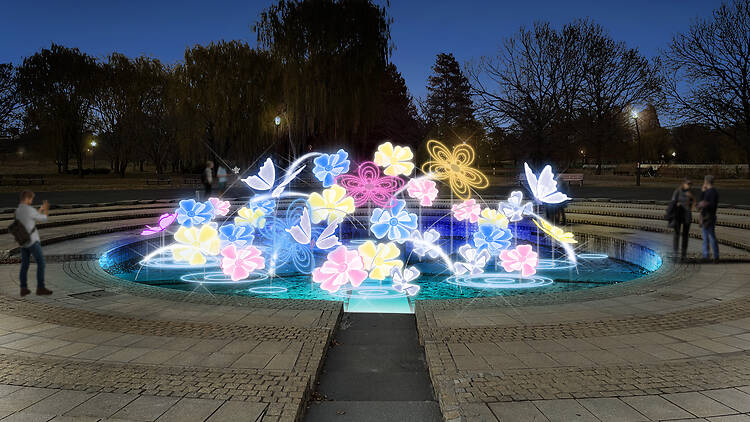 Flower and Light Movement – Toneri Park
