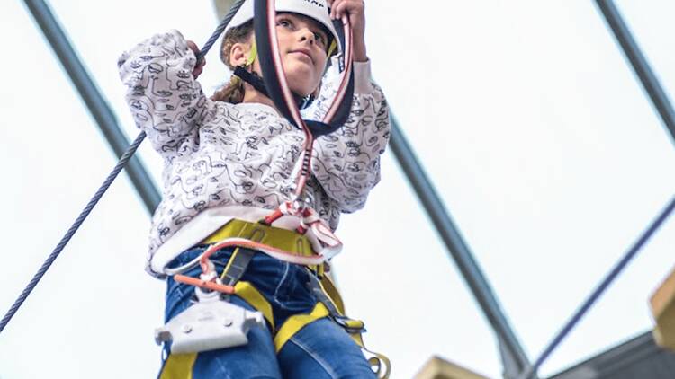 Barcelona Bosc Urbà