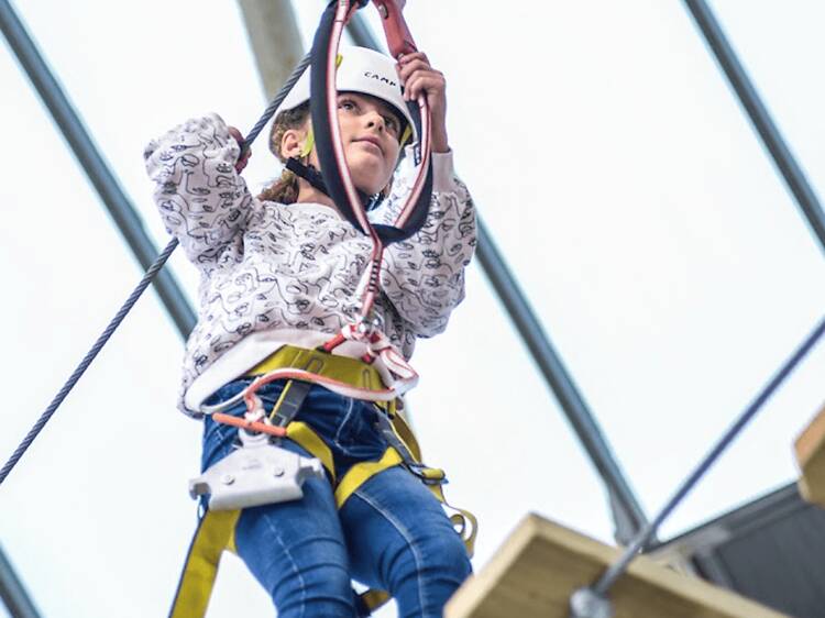 Barcelona Bosc Urbà