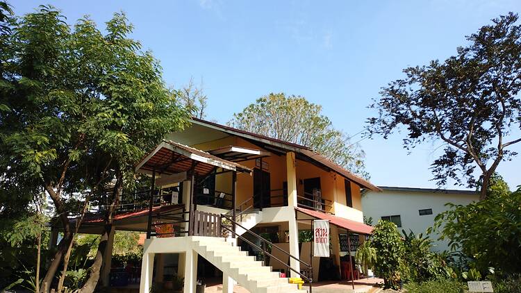 Join the Suan Anya community and celebrate 55 years of culture, performance and people