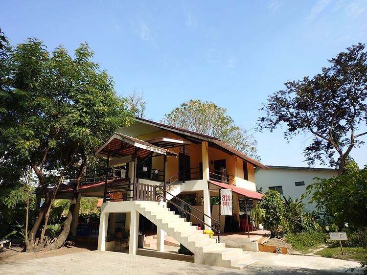 Join the Suan Anya community and celebrate 55 years of culture, performance and people