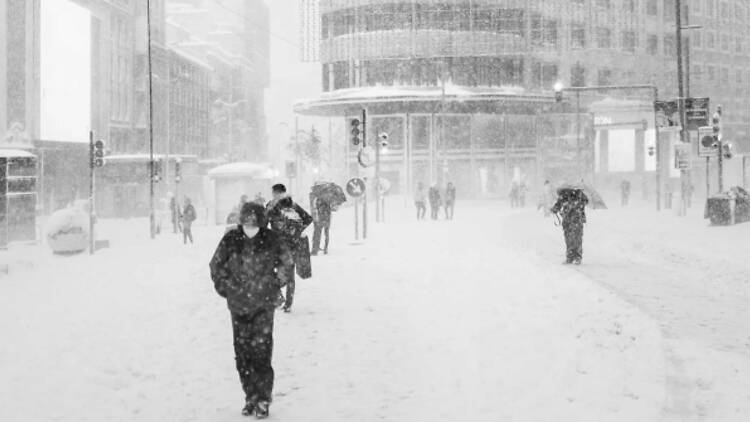 Madrid Resiliente (Montaña de los Gatos). Madrid Resiliente (Montaña de los Gatos).