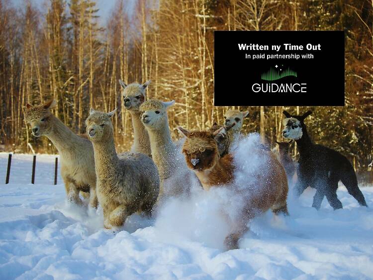 Best day trips from Helsinki that even locals swear by