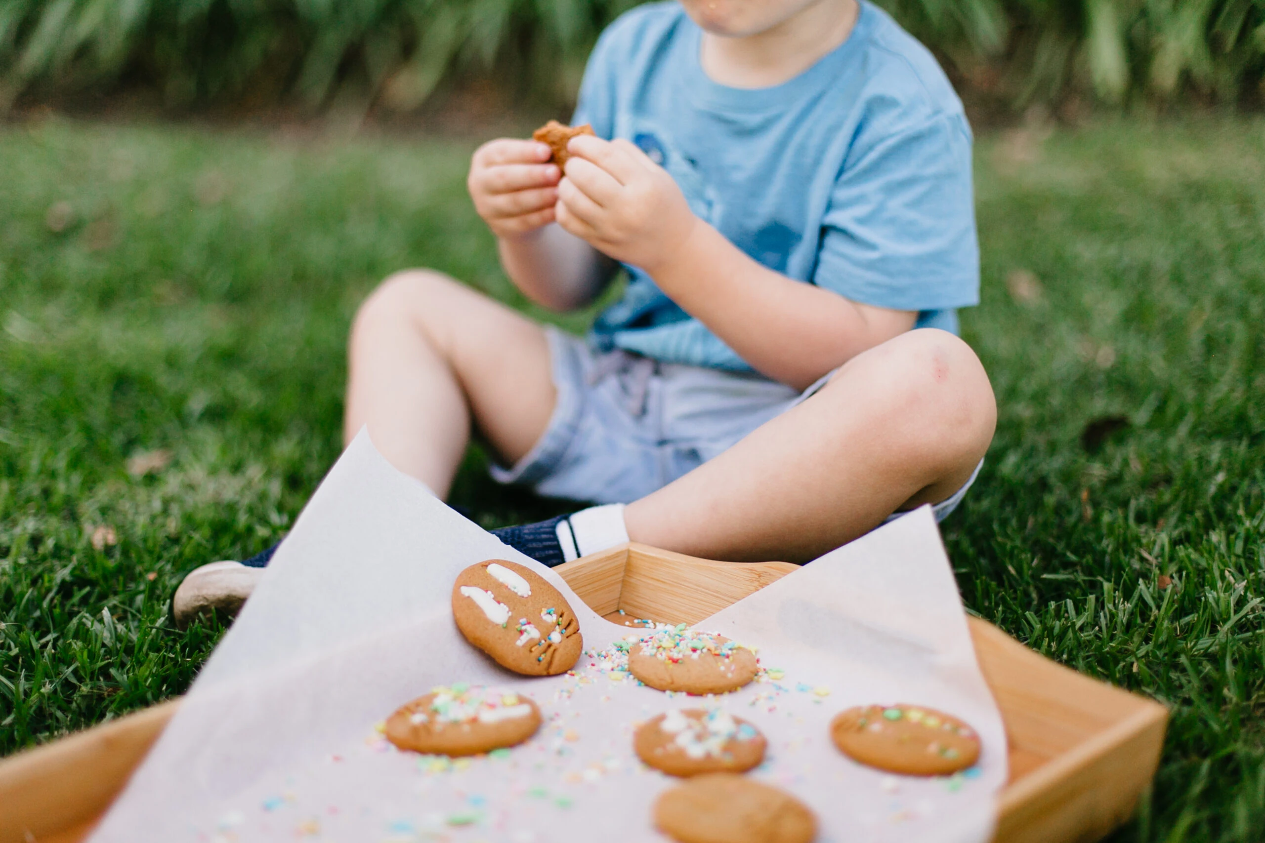 Simonsig Family Vineyards