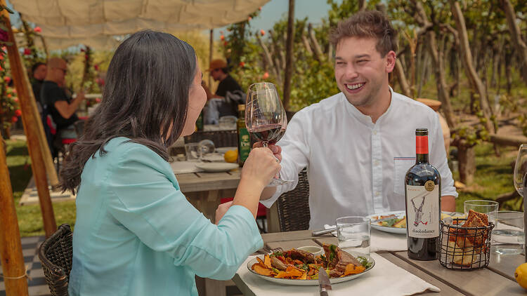 Almuerzo entre viñedos y juego de blends: sabor y complicidad entre copas