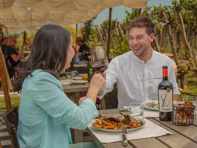 Almuerzo entre viñedos y juego de blends: sabor y complicidad entre copas