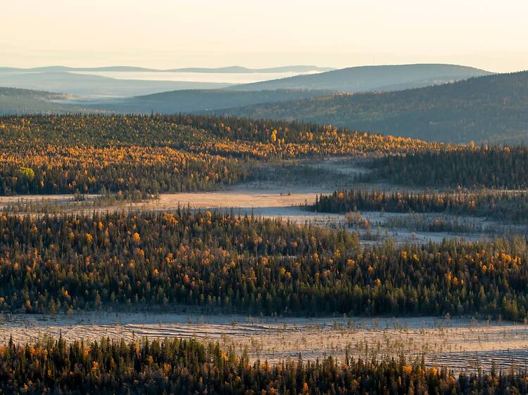 These five European cities will soon be getting direct flights to the heart of Lapland