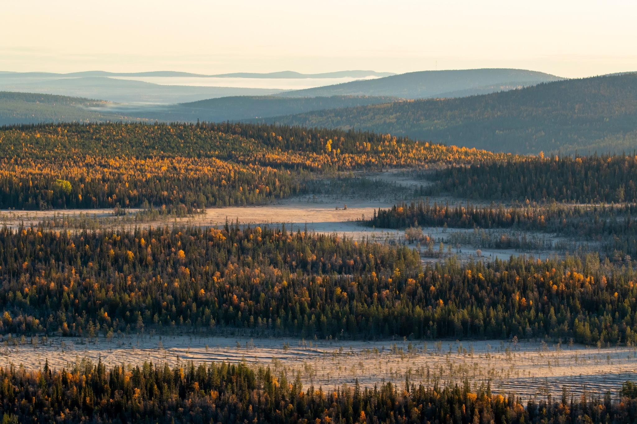 Five European Cities Will Soon Be Getting Direct Flights To The Heart of Lapland, Canada Reviews Five European Cities Will Soon Be Getting Direct Flights To The Heart of Lapland, Canada Reviews