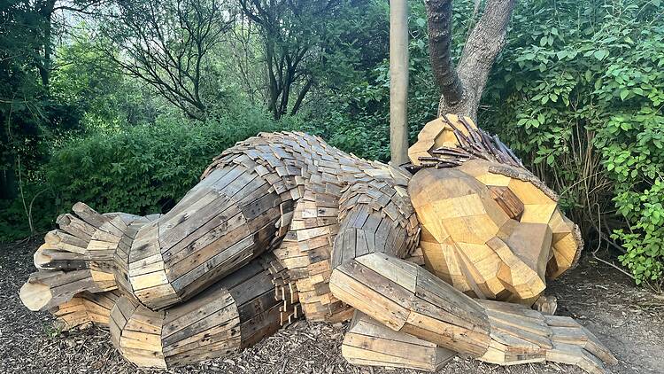 Thomas Dambo’s Trolls: A Field Study