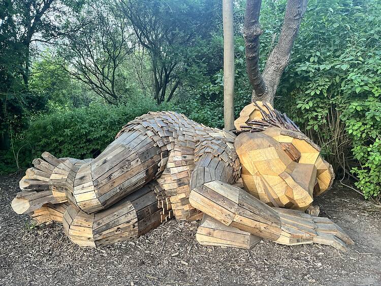 Thomas Dambo’s Trolls: A Field Study