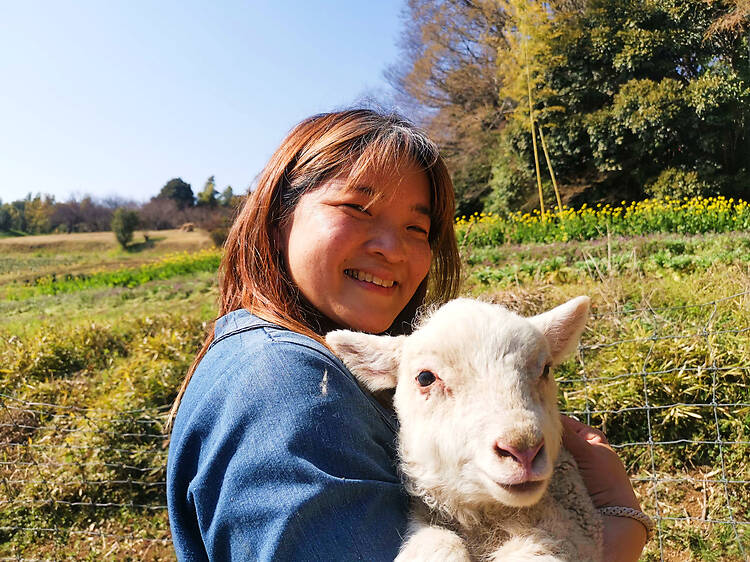 Feed sheep and spin wool on this farm tour near Tokyo