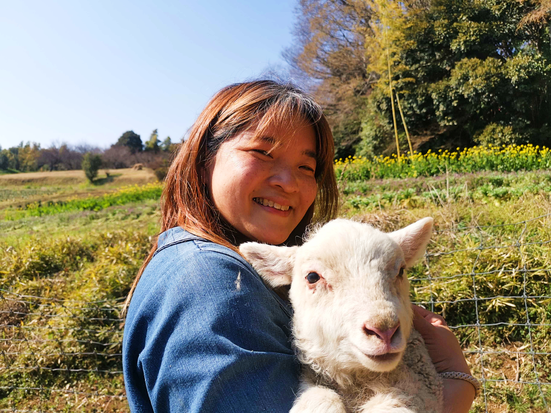 timeout.com - Christopher House - Feed sheep and spin wool on this farm tour near Tokyo