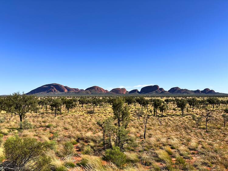Hike around the rock domes of Kata Tjuṯa