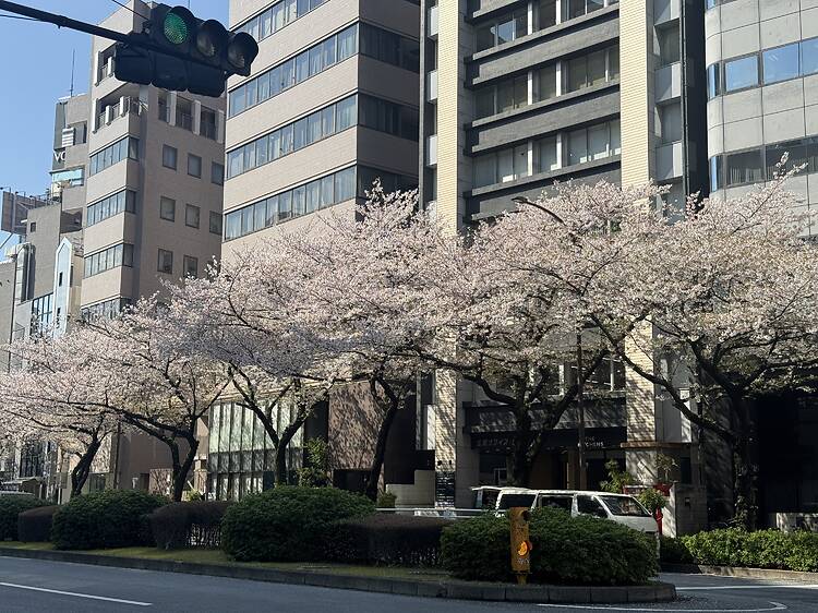 Meiji-dori street in Hiroo, Shibuya Meiji-dori street in Hiroo, Shibuya