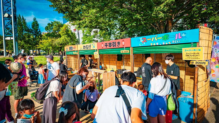 Ogimachi Cherry Blossom Festival