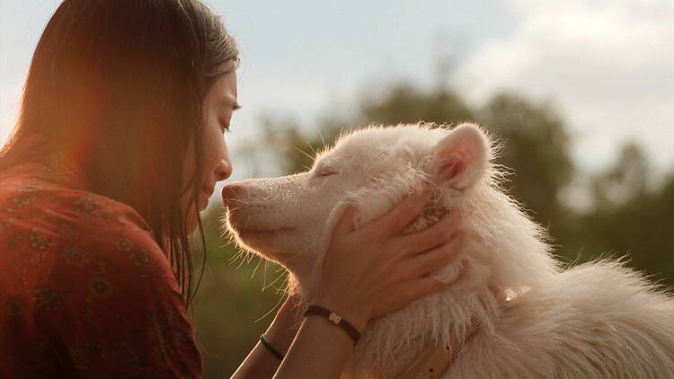 โกฮัง..หัวใจโกโฮม