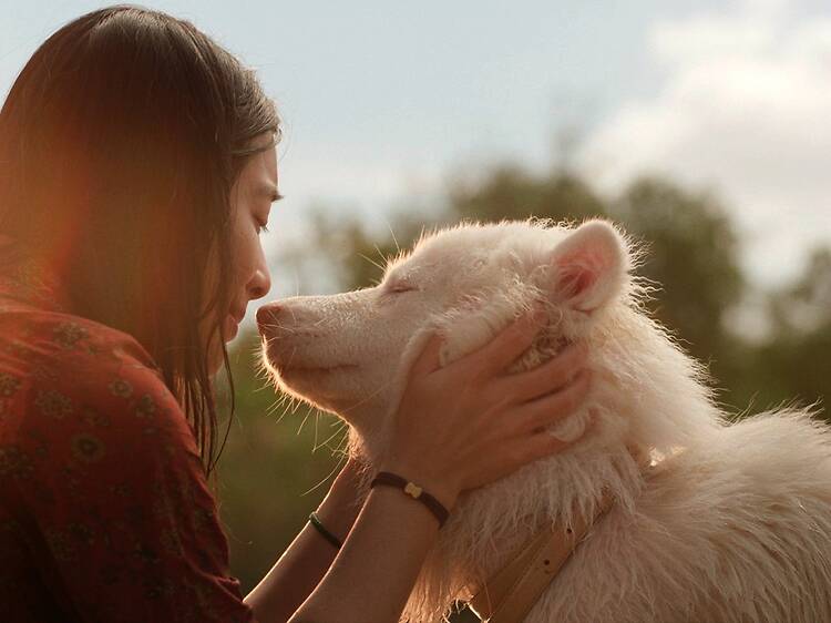 โกฮัง..หัวใจโกโฮม